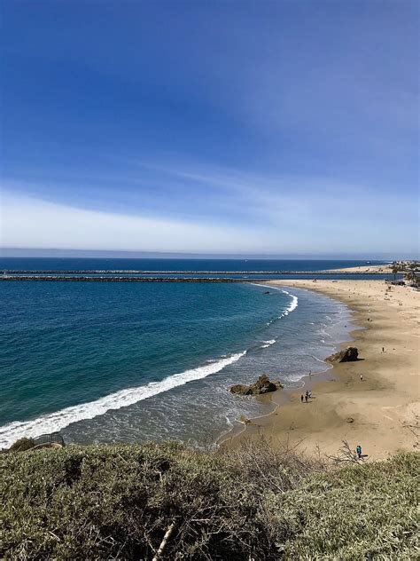 JulieGittoes's tweet image. Having set off on #LockdownLeave from the east coast, now enjoying a virtual tour of the west coast: a north London garden has morphed, imaginatively, into a Californian beach. 

A #VirtualTour means taking my pick of ten of the best: m.youtube.com/watch?v=K1W0pu…