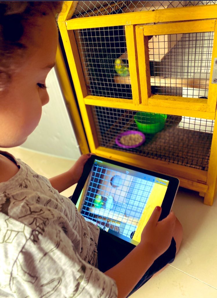 BSMuscatFS1's tweet image. Understanding the world &amp;amp; using everyday technology with a purpose #independent #engineers #responsible #photographers #curious AMAZING FS1 little learners with BIG ideas &amp;amp; questions! @PrincipalMuscat @BSMuscatHeadPri @JulesEYFS @PeteMoorhouseEY @EarlyExcellence #remotelearning