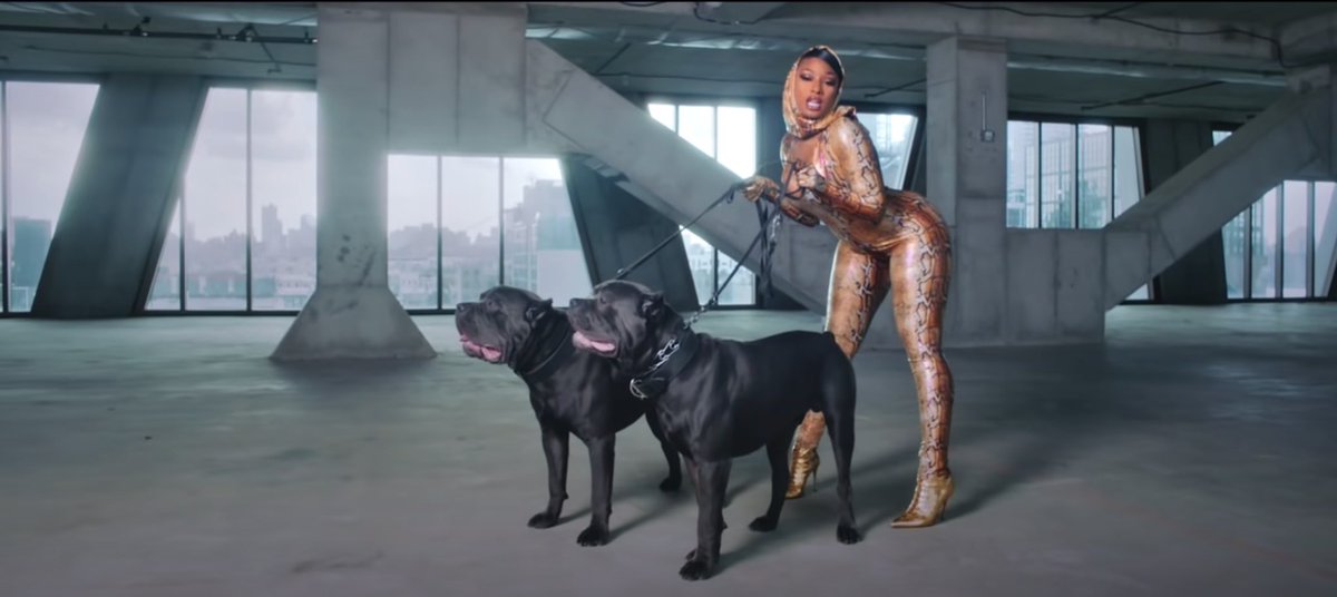 DearJessamyn's tweet photo. . @theestallion’s B.I.T.C.H. is a whole ass MOOD, and a DJP anthem !!! video directed by @EifRivera 💗💗 https://t.co/Zq1cxlpGcE