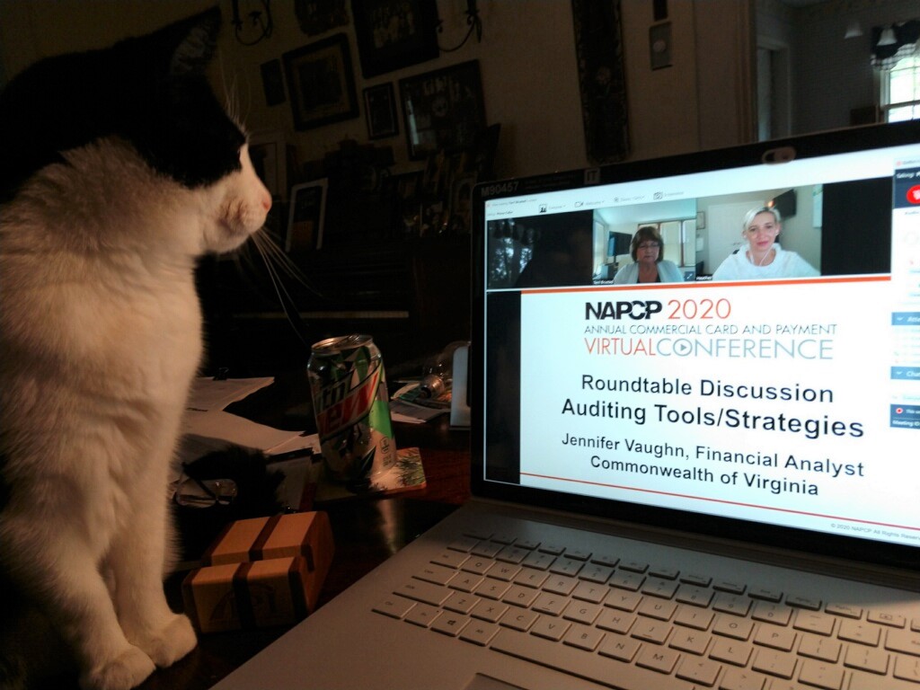 NAPCP_org's tweet photo. Yes, our Virtual Conference has incredible content, but more than that, the depth of connectivity between 475+ attendees is amazing. You're tailoring your engagement. You're making it work. Great photo from one of our attendees! https://t.co/yjht9AsqGW #NAPCP_org #b2bpayments https://t.co/teCUluWVX4