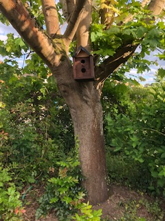 pandasclass's tweet photo. Look at this wonderful bird box!  The birds that get to nest in here are very lucky.🦜🥚 https://t.co/UjWaJ5e3rZ