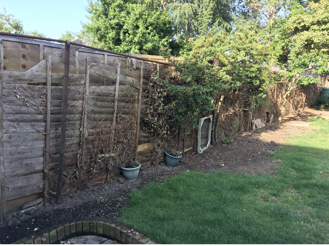 DachshundOtto's tweet photo. Last year and this year along one side of our garden #MyChelseaGarden #virtualChelsea #RHSChelsea #minichelsea I helped of course! 🍃 https://t.co/cz45qBdUZp