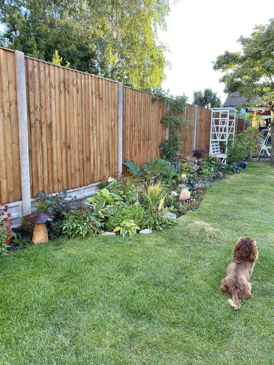 DachshundOtto's tweet photo. Last year and this year along one side of our garden #MyChelseaGarden #virtualChelsea #RHSChelsea #minichelsea I helped of course! 🍃 https://t.co/cz45qBdUZp