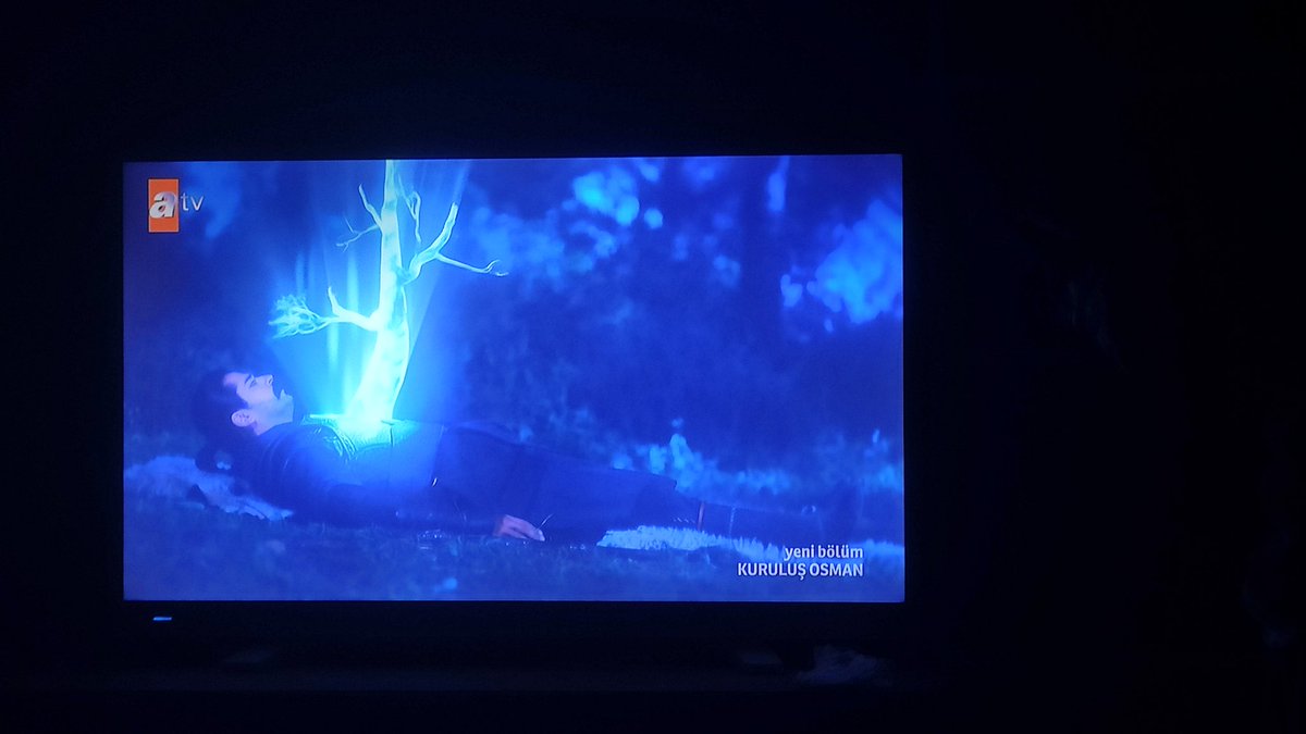 Göğsümden çıkıp senin göğsüne giren Nur kızımdır çınar'a gelecek olursak eğer büyük bir devlet kuracaksın Allahu Teala seni ve nesli islam ve şereflenmesine vesile kılacak.
#KurulusOsman
#KutluRüya