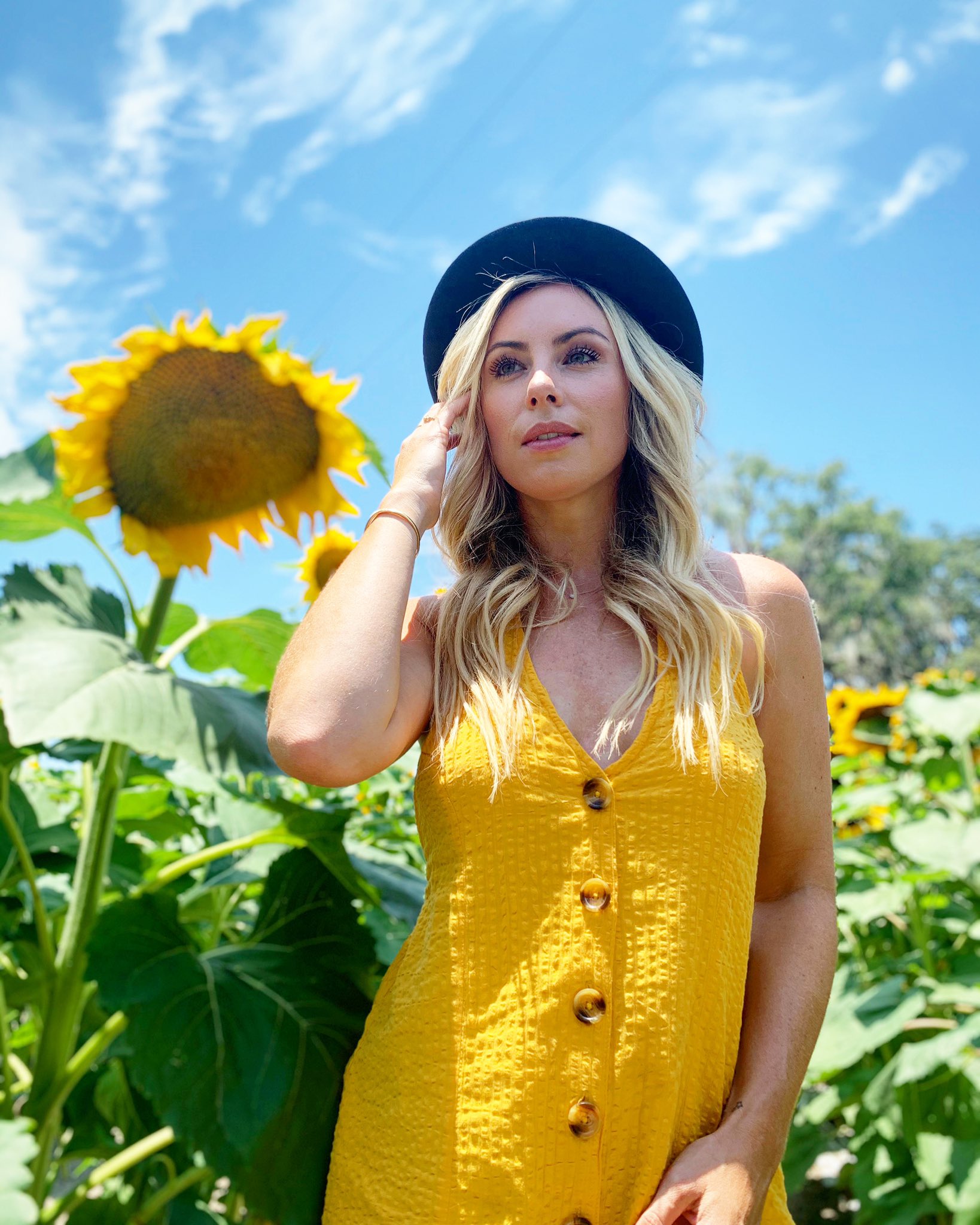 sarah-schreiber-on-twitter-stand-tall-like-a-sunflower-face-towards
