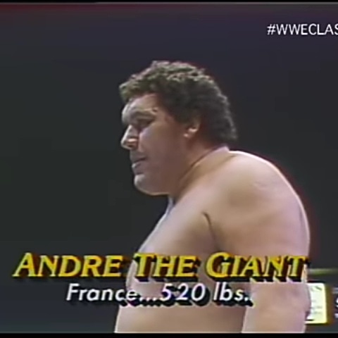 Happy birthday Andre the giant 