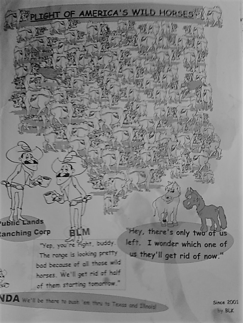 Terri_Farley's tweet photo. Math we can understand: Livestock grazing is authorized on 155 million #publiclands acres. #Wildhorses are confined to 26.9 million acres & SHARE with livestock. Wild horse poop replants native seeds. Cow manure doesn't #BLM calls #horses an #existential threat? #ScienceCounts https://t.co/oqayGiDNdR