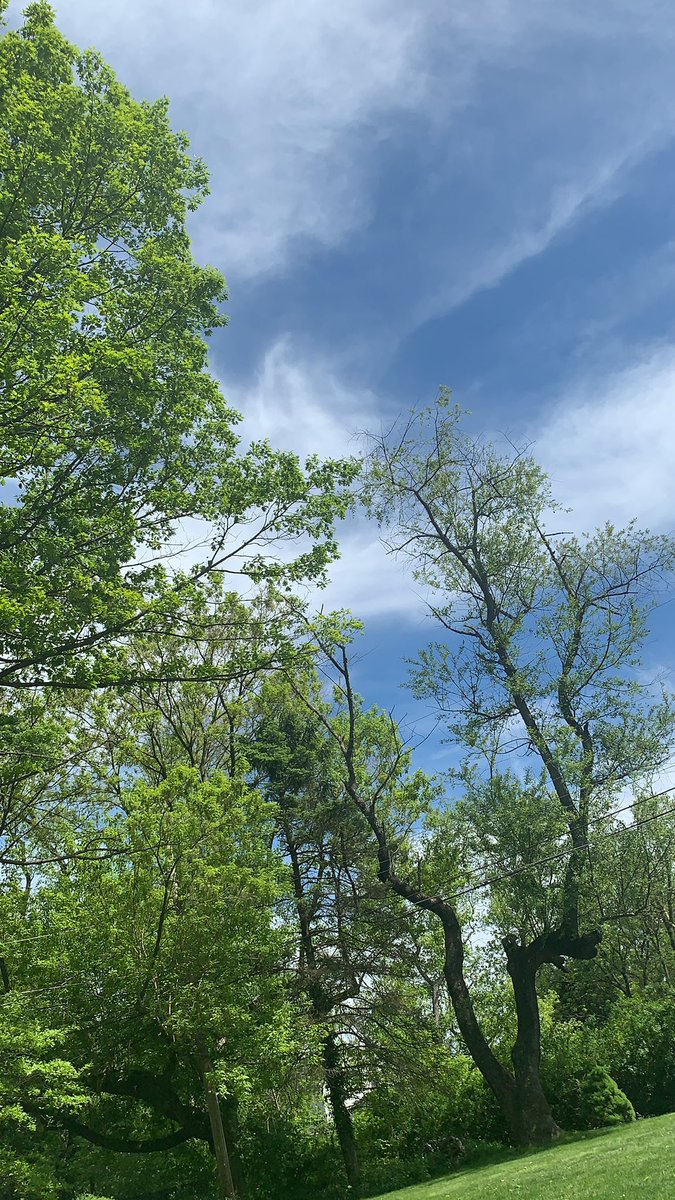 mrseichman's tweet photo. Constantly thankful that the quarantine happened during a time when the weather went from cold to warm #moodlifter #beautifulday #teachingoutdoors ☀️ https://t.co/jQo97AXoip