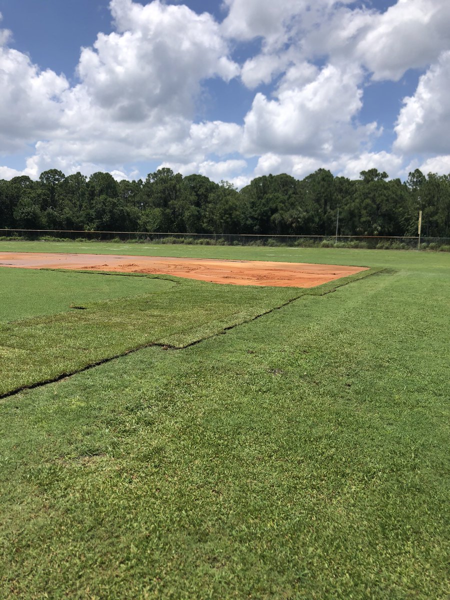 FPWbaseball's tweet photo. The new sod is down.  Time to grow and fill in.  Will be so much better! https://t.co/y5IJv4JIg0