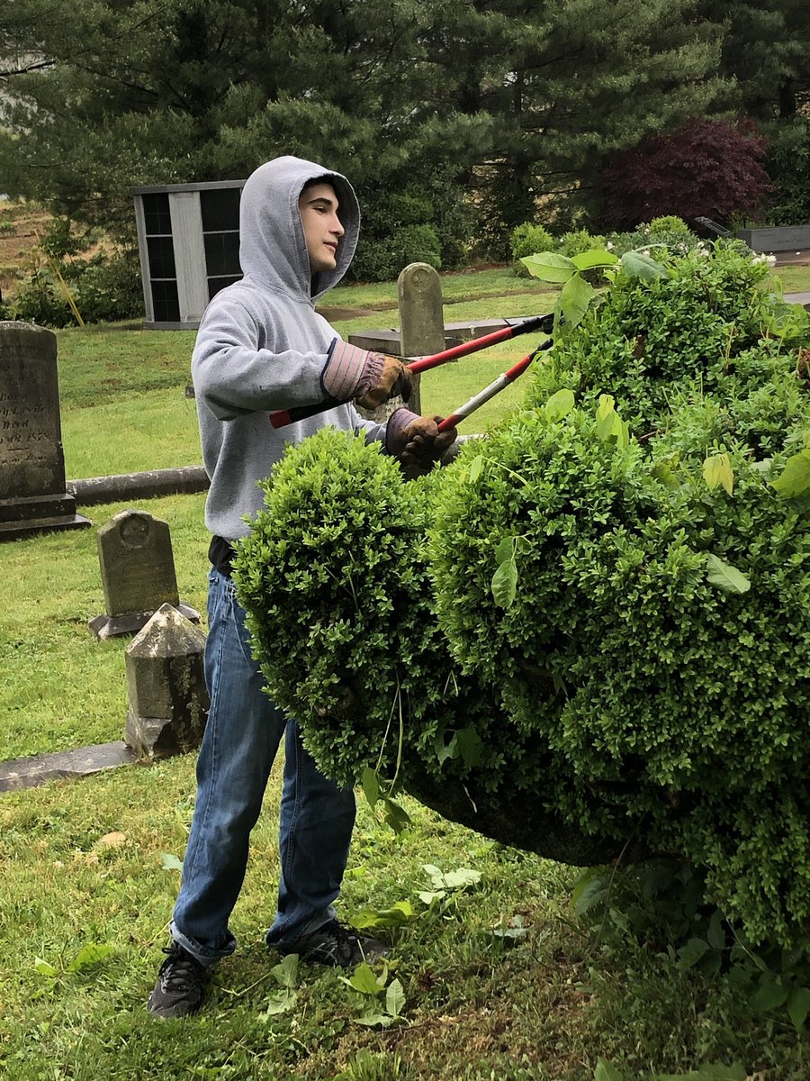 PresbyterianCe1's tweet photo. EC Glass graduate William is carefully removing some poison ivy from a boxwood. Thanks so much William! 

#groundswork #poisonivy #boxwood https://t.co/JwYG0YisTO