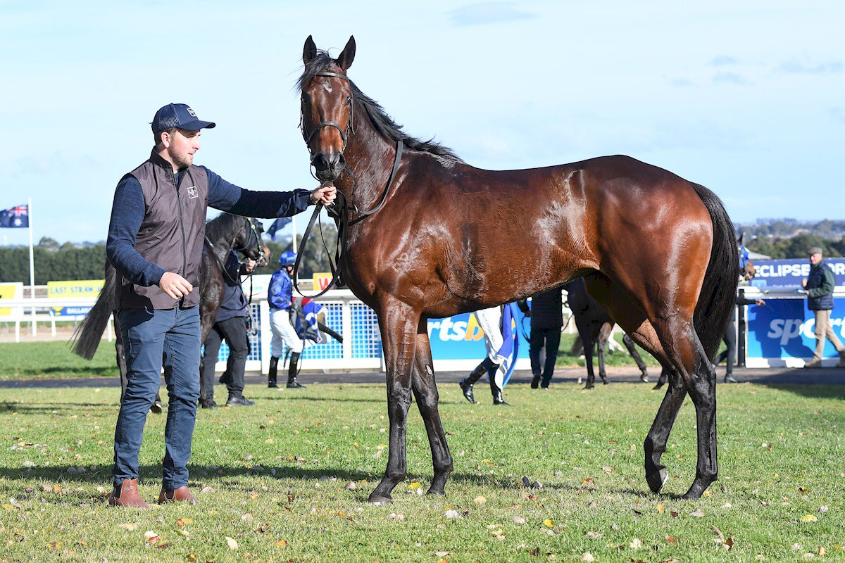 BallTurfClub's tweet photo. 3 more local winners at BTC including a @CumaniRacing double fo the second time this week! Next race day is this Sunday May 24, let’s hope the strong form of local winners continues #ballarattrainers #hilltrack https://t.co/DQZ5FhDorB