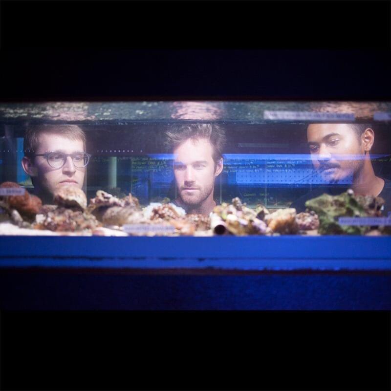 Richard Feder tweet media