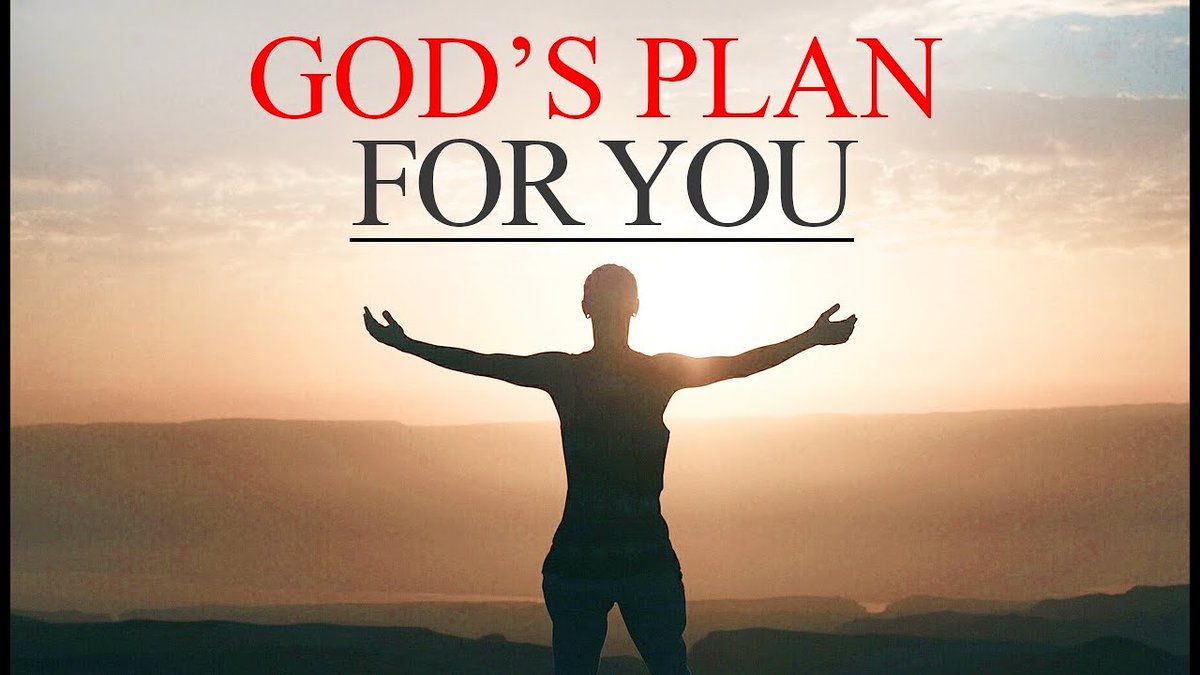 God's Plan for your Future - David Charles Cole tweet media