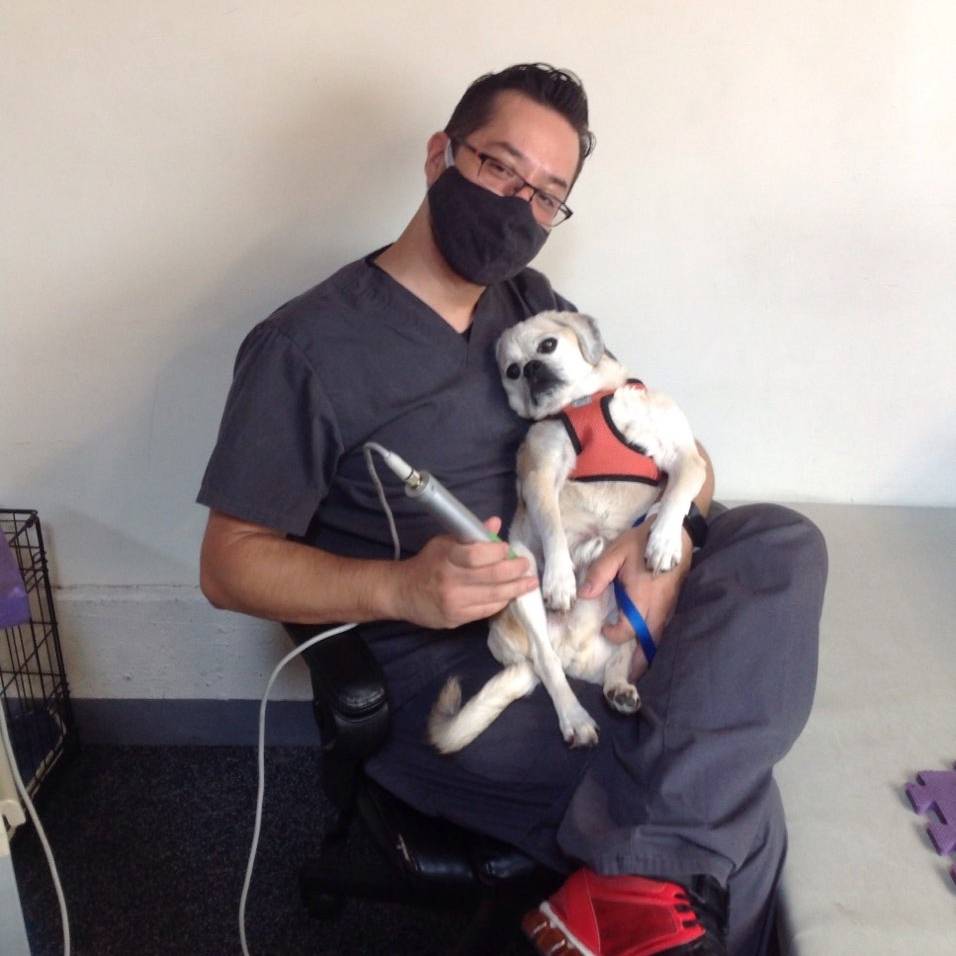 Cal Animal Rehab tweet media