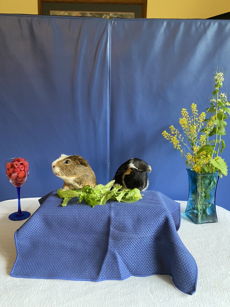 There’s nothing better than a friend than one with lettuce.