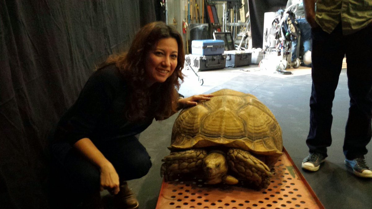 Photo op with the star. 🐢

#animation #animations #animationart #animator #animate
#video #videoedits #videography #videoshow #videographer #videos #videomaker #videoproduction #videostory #videoedit #videoediting #videomaking #videomarketing #promovideo