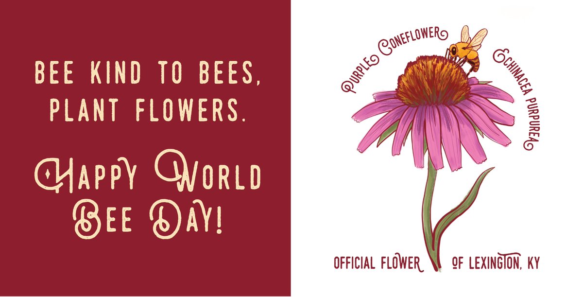 livegreenlex's tweet photo. Bee a honey. 🐝 Plant native flowers to attract pollinators. https://t.co/mLrAJkL6Mj #WorldBeeDay https://t.co/FnlRKjPcsG