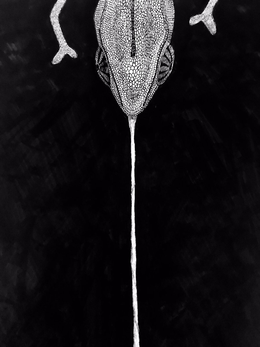#ツイッター創作発表展
参加します!全部ボールペン画です! 