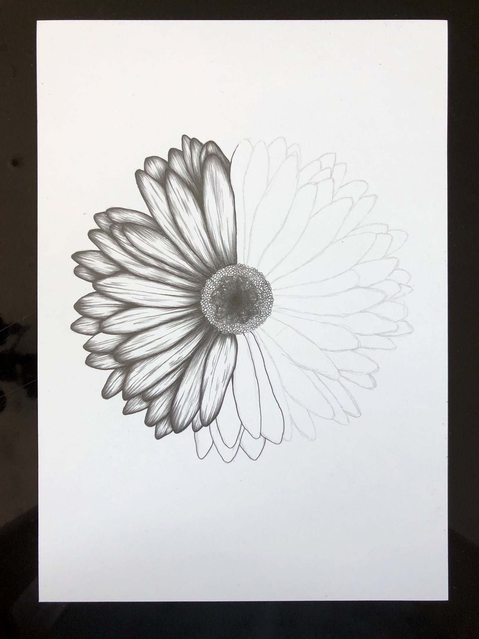 海乃ページ 長谷川海乃 (@umino_hasegawa) / X