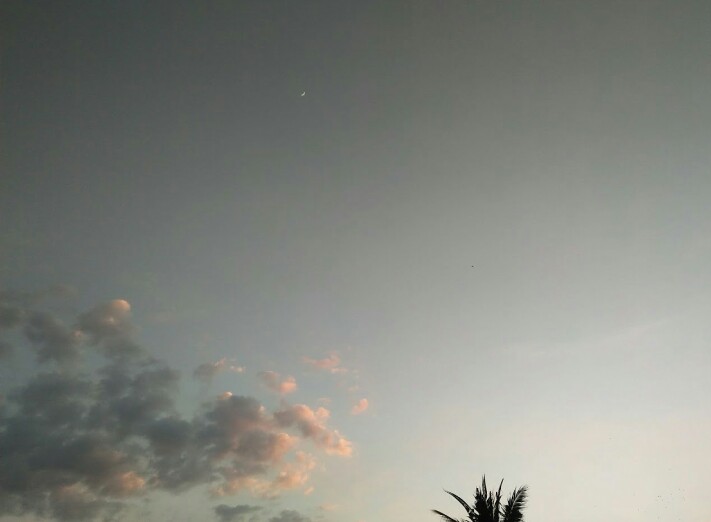 S_undayy☪ tweet media