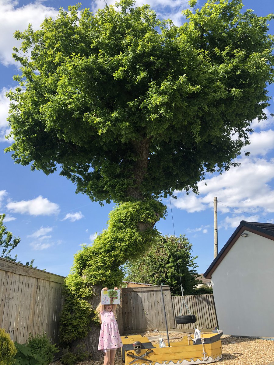 CatherineHewins's tweet photo. @Year1BC A spent some time in the shade painting our oak tree ๐ณ she did a fabulous job #watercolour #owninterpretation #arttime #homeschool #observingnature https://t.co/hJgaWQR3Fi