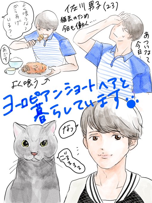 猫男子のtwitterイラスト検索結果