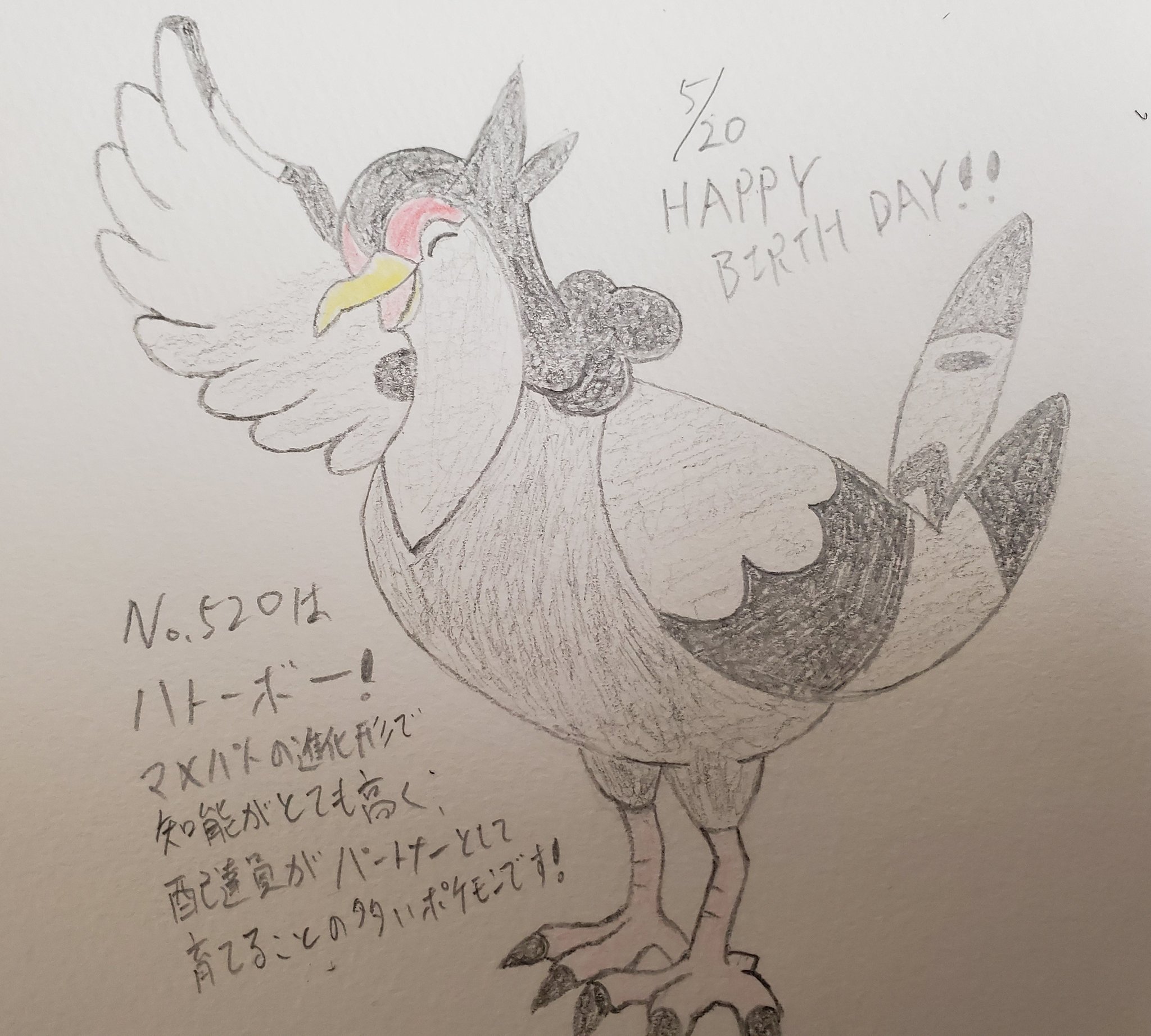 Runner Hiro Runrun 趣味に走る男 ポケモンで毎日お祝い企画 41日目 5月日生まれのみなさん 誕生日おめでとうございます No 5はハトーボー マメパトの進化形で 頭がよく場所などを覚えるのが得意なため配達の役割を行う伝書鳩のようなポケモン Runner Hiro Runrun 趣味に走る男 ポケモンで毎日お祝い企画 41日目 5月日生まれのみなさん 誕生日おめでとうございます No 5はハトーボー マメパトの進化形で 頭がよく場所などを覚えるのが得意なため配達の役割を行う伝書鳩のようなポケモン
