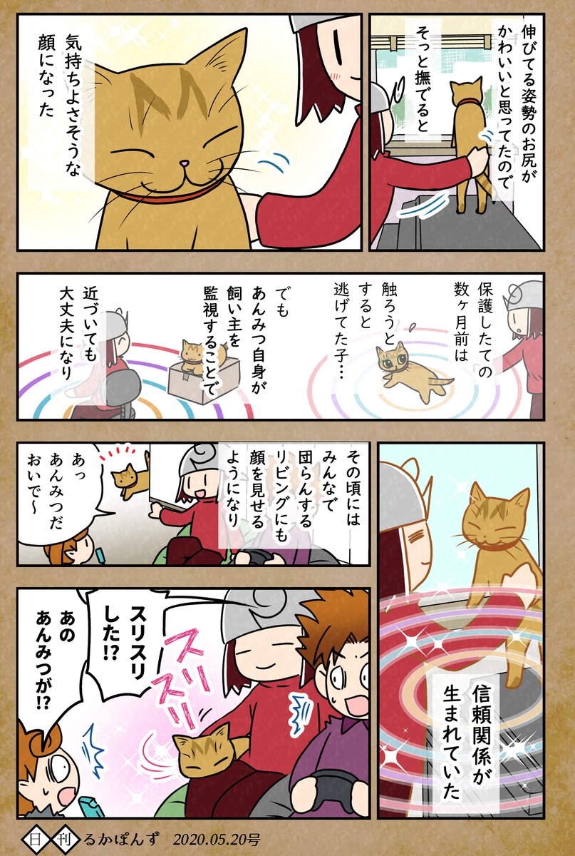 【猫マンガ】保護した猫がなつくまで試行錯誤した話_10

次回で終了予定

#保護猫3兄妹 #猫 #ネコ漫画 #コミックエッセイ #猫まんが #ペット漫画 