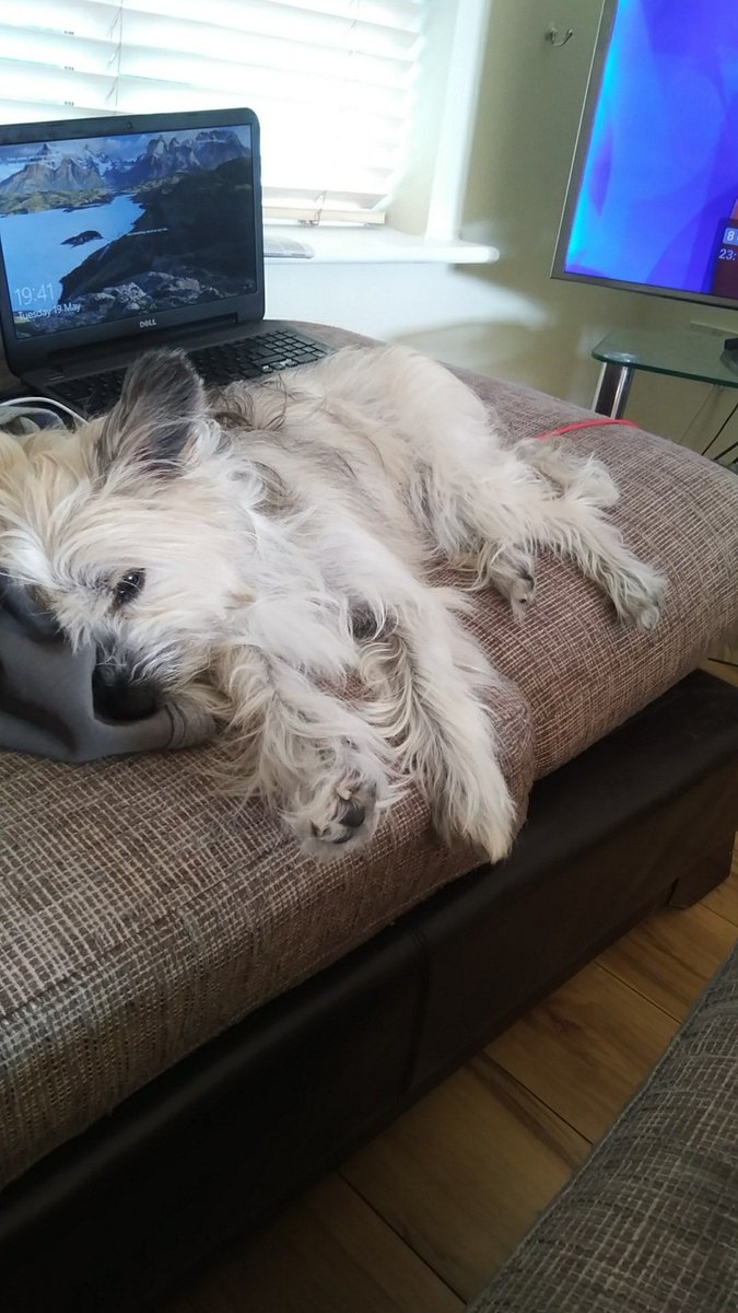 leeshell1984's tweet image. Day 2/7 of my life in pictures.no words no people.thanks@frapejanet for the nomination.i nominate @RachyKennedy