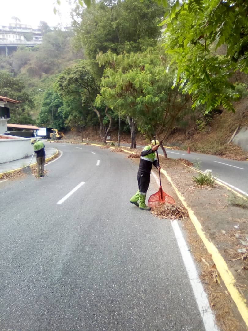 darwingonzalezp's tweet image. ¡Feliz miércoles, baruteños! Nuestro equipo de Áreas Verdes con la colaboración de @fospuca continúan realizando labores de limpieza y recolección de desechos vegetales en Alto Prado y en la calle Las Mesetas de la Urb. Las Mesetas.