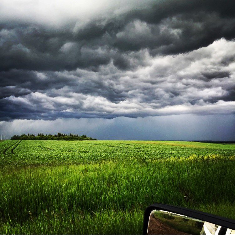 I challenge the Twitter community in Western Canada to purchase only Craft Beer from Local Breweries this summer. <a href="/AllisonBrothers/">Allison Brothers Farming</a> is committing to this challenge. Comment below what your fav Brewery is. Retweets appreciated. #beer #malt #alberta #brewing