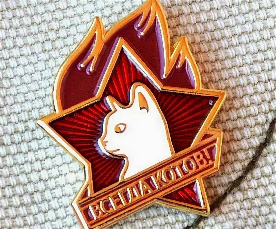 Гладь котов всегда котов значок. Гладь котов всегда готов. Значки с котами. Гладь котов всегда котов значок. Кот всегда готов.