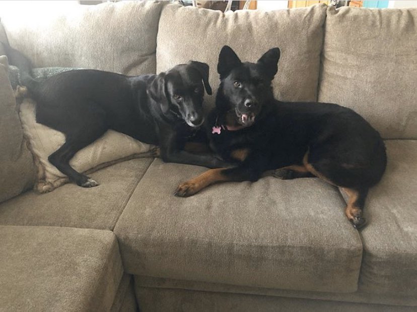 Haley ONeill tweet media