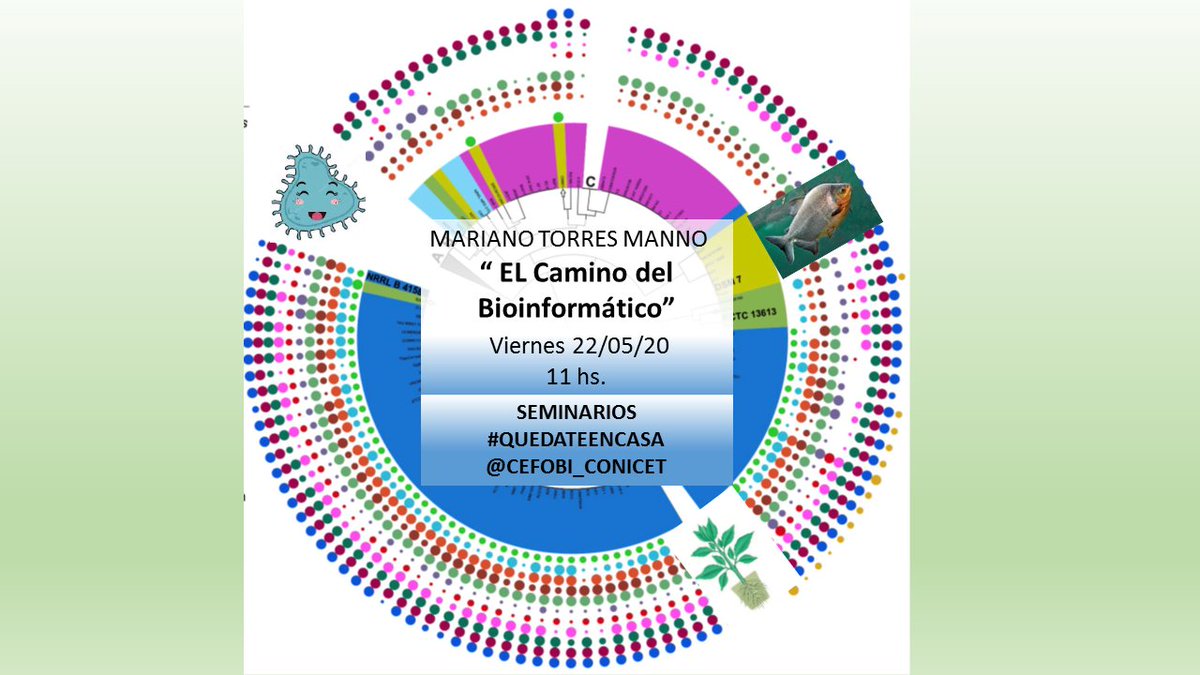 New Serie of Seminars #Stayathome <a href="/CEFOBI_CONICET/">CEFOBI-CONICET-UNR</a> #covid19times 
<a href="/CONICETDialoga/">CONICET Dialoga</a> 
Our next speaker Mariano Torres Manno <a href="/marianoatm/">Nano</a> “The bioinformatician´s pathway” 
Friday 22.05.20  <a href="/UNROficial/">UNR</a> <a href="/CEFOBI_CONICET/">CEFOBI-CONICET-UNR</a>