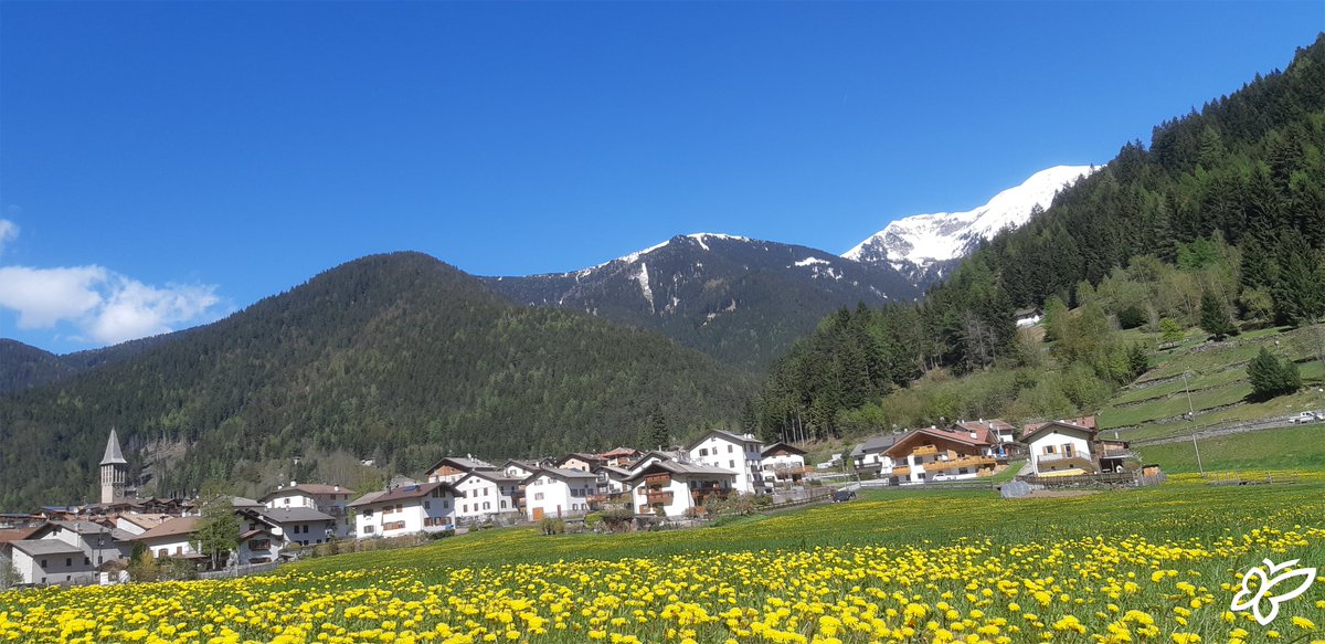visitpine's tweet photo. 📣 Secondo la leggenda #Brusago sarebbe stato costruito da quelli di #Bedollo che si aprirono un varco nella foresta col "ferro e col fuoco" e che appellarono così la radura "l camp brusà" (il campo bruciato)
[A. Gorfer]

Scopri il #lagodelleBuse 🐠https://t.co/sHdbrqNNFq https://t.co/2GMebS3p0h