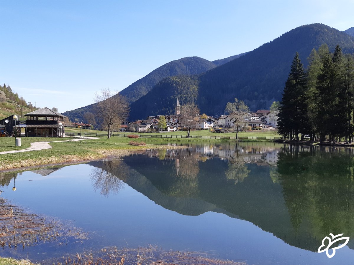 visitpine's tweet photo. 📣 Secondo la leggenda #Brusago sarebbe stato costruito da quelli di #Bedollo che si aprirono un varco nella foresta col "ferro e col fuoco" e che appellarono così la radura "l camp brusà" (il campo bruciato)
[A. Gorfer]

Scopri il #lagodelleBuse 🐠https://t.co/sHdbrqNNFq https://t.co/2GMebS3p0h
