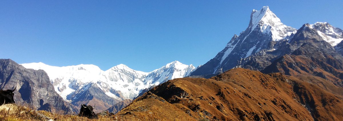 Trailsnepal's tweet photo. Have you ever gone to Mardi Himal Trek?
#mardihimal #mardi #nepal #trekking #mountains 
Mardi Himal trekking is the newest travel destination and best Eco-tourism trekking trails in central Nepal in the Annapurna region. 
Find out here: 
https://t.co/kfkvcDb1e8 https://t.co/pJqguO7t4v