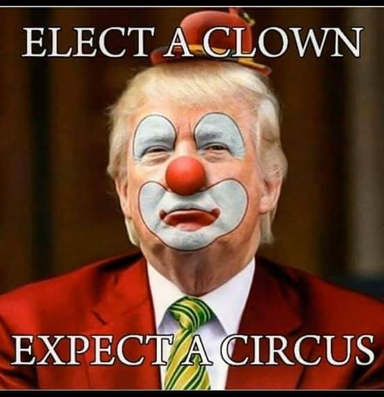 jj_connell's tweet photo. Go Biden..will win by a landslide.. "The Deplorables" did enough damage to this country. https://t.co/d5EjmimVIi