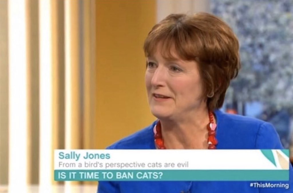 Number10cat's tweet image. Get stuffed Sally.