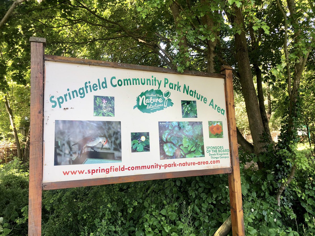 Annareporting's tweet photo. Here’s Derek from the Springfield Community Park Nature Area, my guest on #Londonteaat3 @middleagedminx @BBCRadioLondon doing a wonderful job with volunteers to make this acre of land a community centre for birds and butterflies! https://t.co/7LXBpvMTx4 https://t.co/dq2STCGMJA