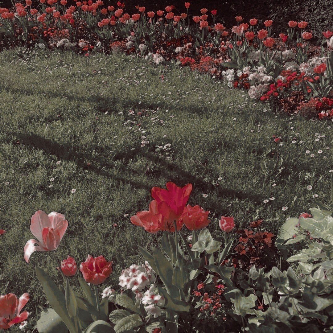 ॐ———————           ———————ॐ

𝙘𝙖𝙧𝙧𝙮𝙞𝙣𝙜 𝙩𝙝𝙚 𝑅𝑂𝐴𝑅𝐼𝑁𝐺 𝙞𝙣 𝙝𝙚𝙧 𝙫𝙚𝙞𝙣𝙨, 
𝙗𝙪𝙩 𝙩𝙝𝙚 𝑆𝐼𝐿𝐸𝑁𝐶𝐸 𝙞𝙣 𝙝𝙚𝙧 𝙫𝙤𝙞𝙘𝙚; 
𝑠𝑜𝑓𝑡 𝙡𝙞𝙠𝙚 𝙨𝙪𝙢𝙢𝙚𝙧 𝙧𝙖𝙞𝙣𝙨,
𝙢𝙖𝙙𝙚 𝙤𝙛 𝑠𝑢𝑛𝑠𝑒𝑡𝑠’ 𝑑𝑢𝑠𝑡. 

ॐ———————           ———————ॐ

PARVATI PATIL.