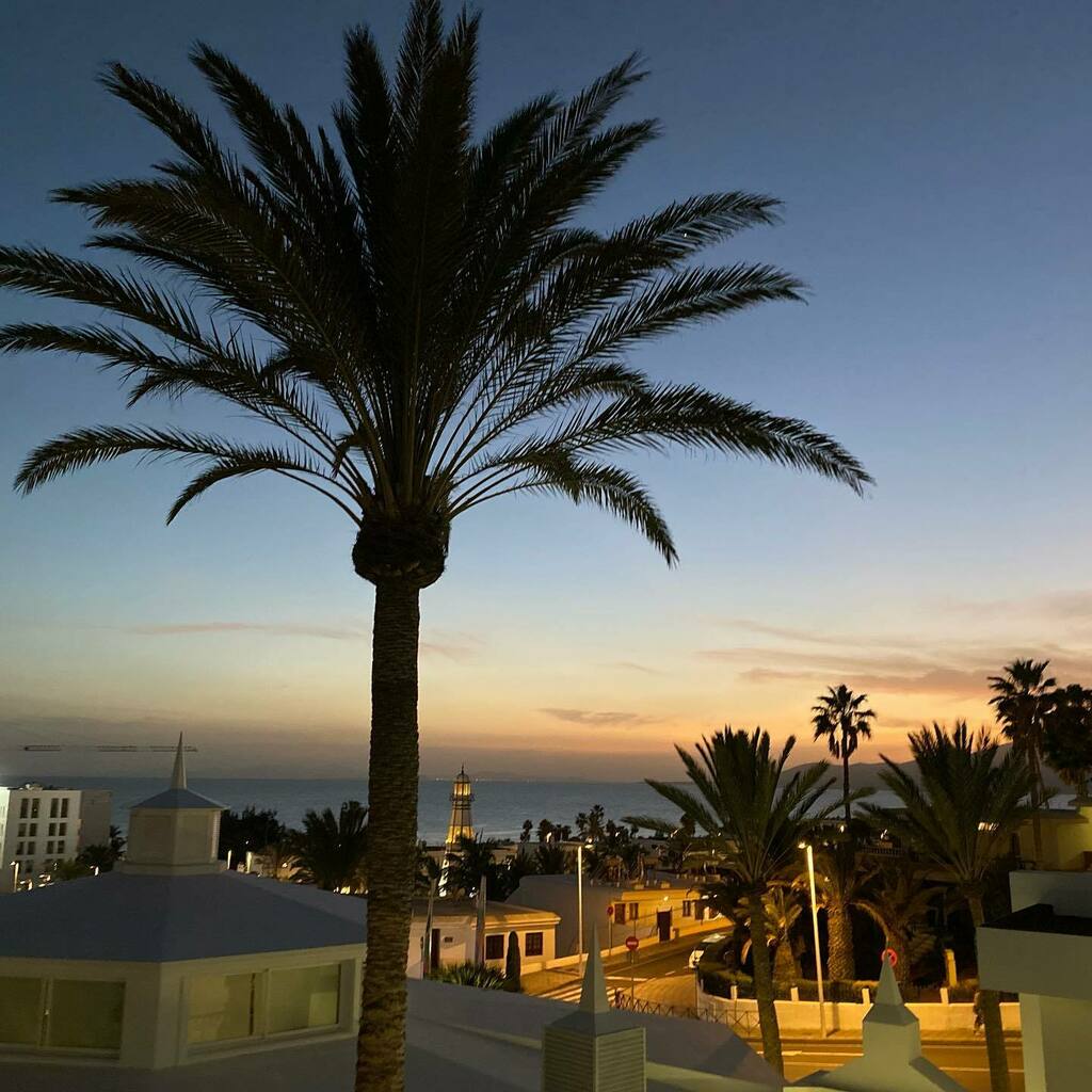 JokeTravel's tweet photo. Dit was Lanzarote in januari. Het lijkt een eeuwigheid geleden. Zouden we langzaam aan weer mogen gaan dromen over het maken van een reisje?😎
Fijne avond allemaal👋
🇪🇸 🇪🇸 🇪🇸 #dromen #dromenwaarmaken #reiszin #reislust #reislustig #lanzarote #lanzarote… https://t.co/Ddd19PsWQx https://t.co/Vimsi3QjRy