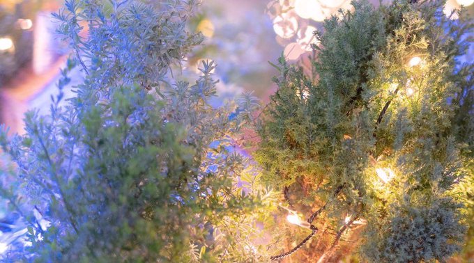 Twitterのコスプレ画像25