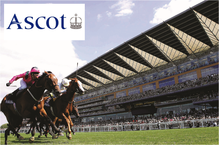 Who wouldn't want a box for 16 guests at <a href="/Ascot/">Ascot Racecourse</a> 2020 or 2021? Bid here to win and support <a href="/CR_UK/">Cancer Research UK</a>'s work: jumblebee.co.uk/businessbeatin…