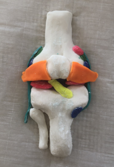 OhioATA's tweet photo. @uakron Renee DeSalvo teaches Anatomy and came up with fun and creative ways to get hands on at home. Students created knee joint sculptures out of playdough and foot bone models out of items they could find throughout the house #ATvocate #OATAinAction #SidelinestoFrontlines https://t.co/MahykUZ9ZJ