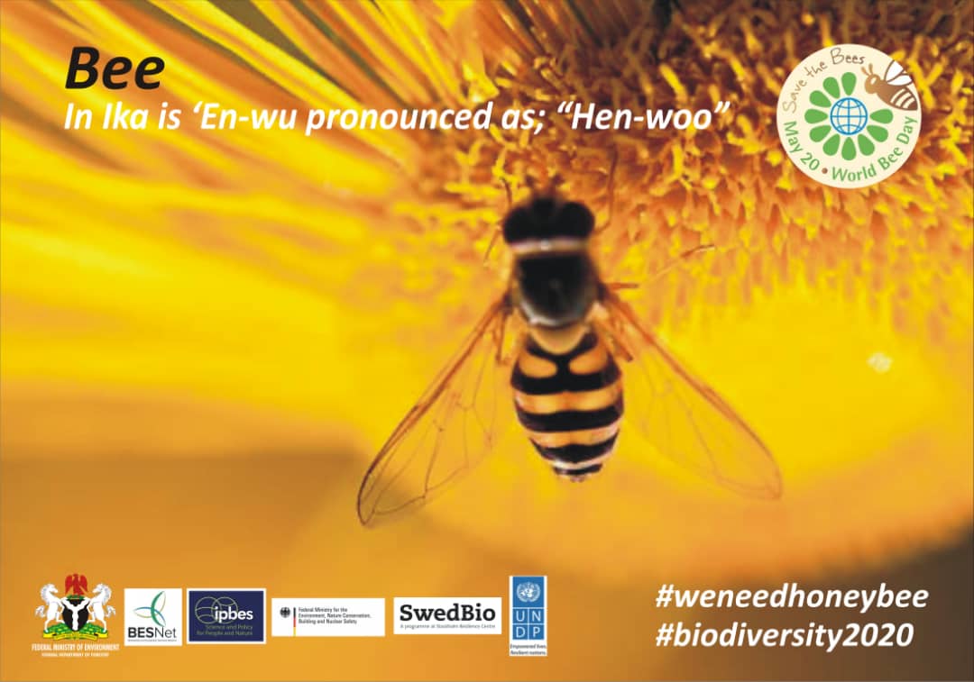 ogene_ogbodo's tweet photo. #WorldBeeDay 2020!
#BeesDoPollination; the decline of bees affects us all! 
#weneedhoneybee
#biodiversity2020

@FMEnvng @BESNet_UNDP @UNBiodiversity @IPBES @UNDP_GCRED @UNDPNigeria @sharon_ikeazor 
@CSDevNet1 
@PACJA1 @environewsng @AminaJMohammed @CatrionaLaing1 @c40cities https://t.co/CzjMS4m76h