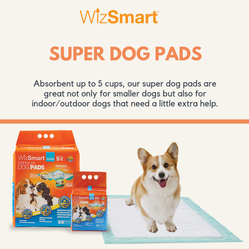 Do you have a small dog who can't always hold it? 🐶😫
Our Super pads hold 5 cups of liquid and lock in odor so your furbaby will always have a clean, odor-free bathroom when they need it. #furbaby #ecofriendly #pet #doglover