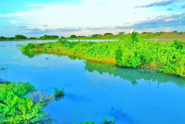 QabyaladDiid's tweet photo. Maantana Waa Degmada Buurhakaba Ee Gobolka Baay, Jawigu Waa Roob Iyo Barwaaqo Muuqaalkeedana Indhuhu Lama Daalayaan.

📷➡️Ismaaciil⬇️

@BoongeHafza 
@HamdiMayle 
@Shucayb_Shekeye 
@GaareyGaraad 
@AbdiMal06069927 
@SayidGulled 

Asxaabta Sharafta leh sii baa hiya quruxda #Dalka. https://t.co/93dbF8tkky