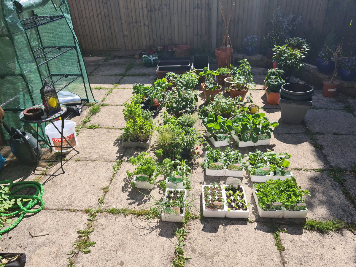 Simon Williams tweet media