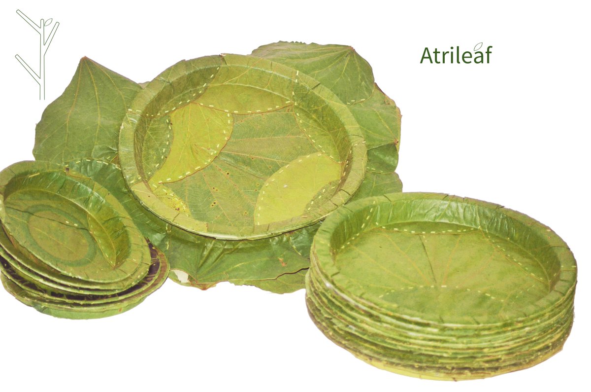 atrileaf's tweet photo. @odisha_tourism Oneway Tableware 100% natural , biodegradable , goes back to earth in 30days. https://t.co/juJrjD1Ljq